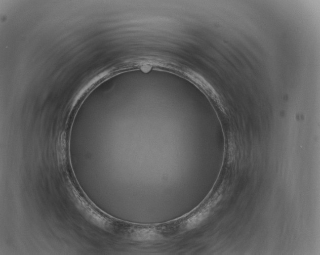 X0000085250798200703091256