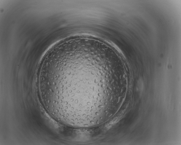 X0000085250799200703091256