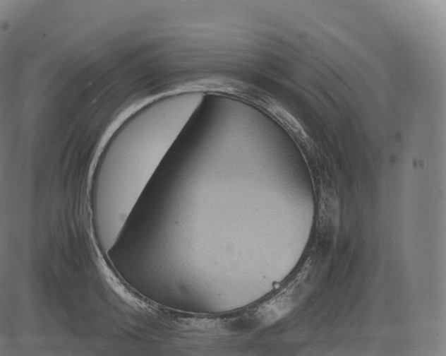 X0000085250800200703091256