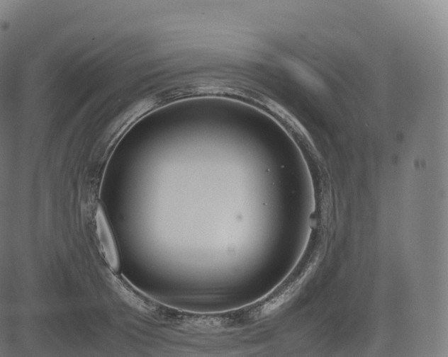 X0000085250801200703091256