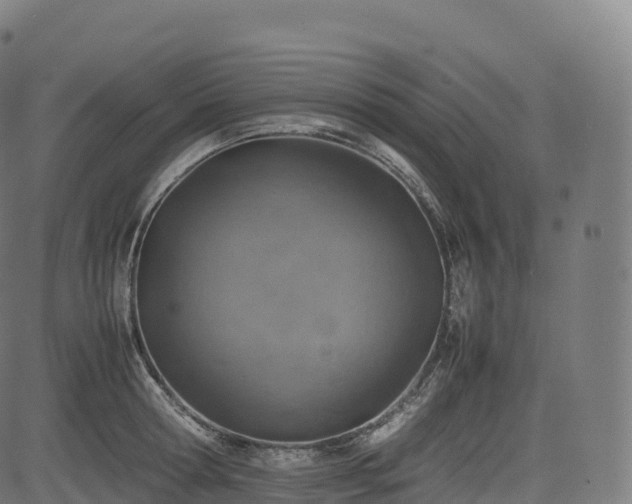 X0000085250802200703091256