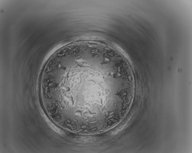 X0000085250803200703091256