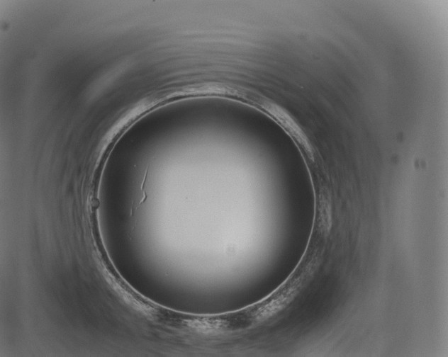 X0000085250805200703091256