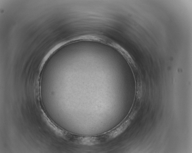 X0000085250808200703091256