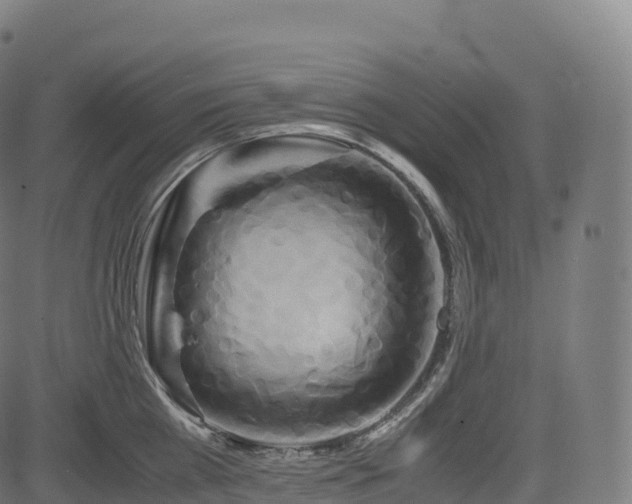 X0000085250809200703091256