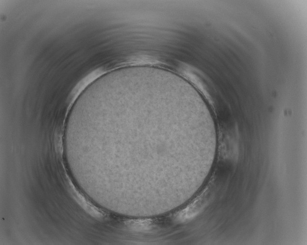 X0000085250810200703091256