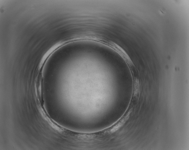 X0000085250812200703091256