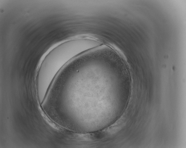 X0000085250816200703091256