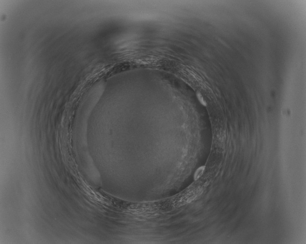 X0000085250817200703091255