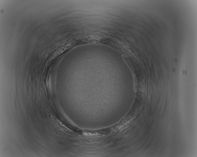 X0000085250818200703091255