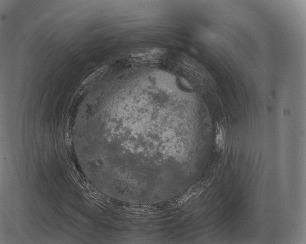 X0000085250819200703091255