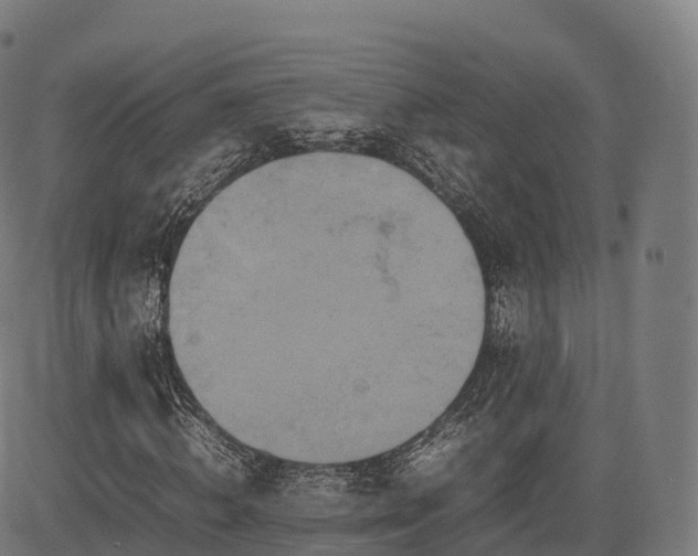 X0000085250820200703091255