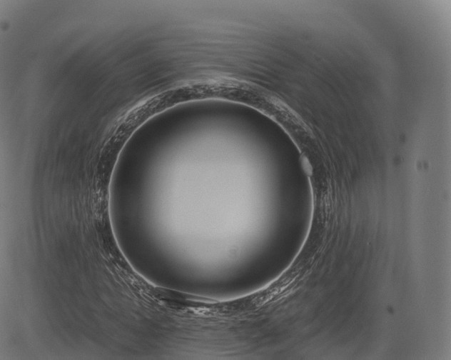 X0000085250822200703091255