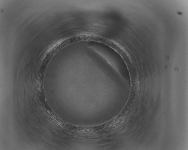 X0000085250823200703091255