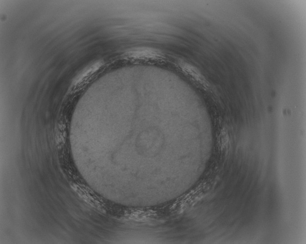 X0000085250824200703091255