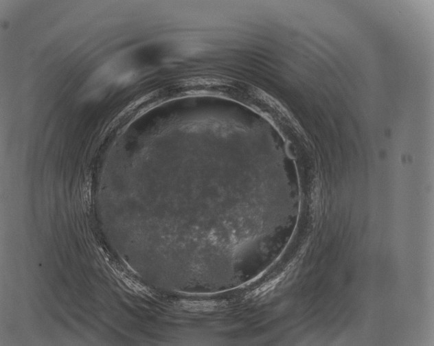 X0000085250825200703091256