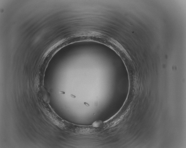 X0000085250826200703091256