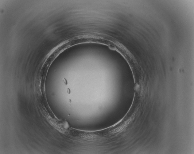 X0000085250830200703091256