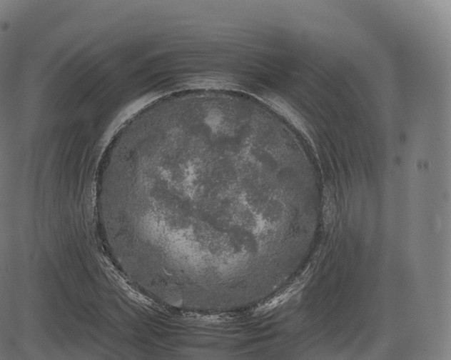 X0000085250831200703091256