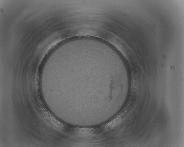 X0000085250832200703091256