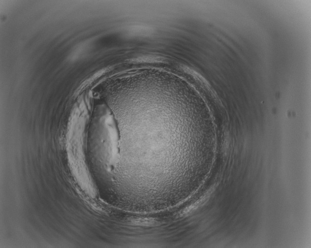 X0000085250833200703091256