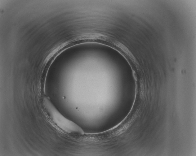 X0000085250834200703091256