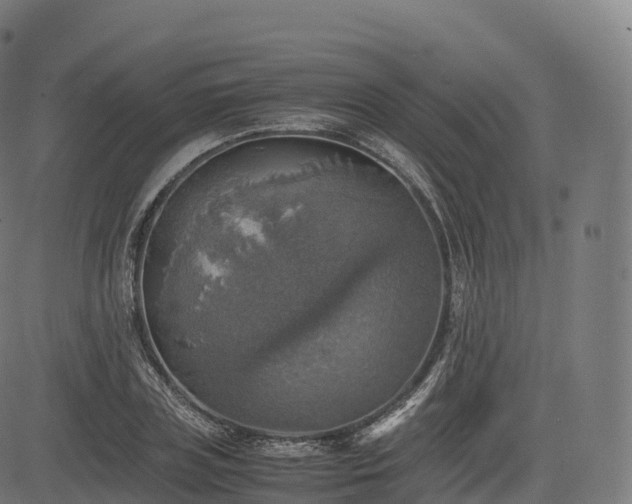 X0000085250835200703091256