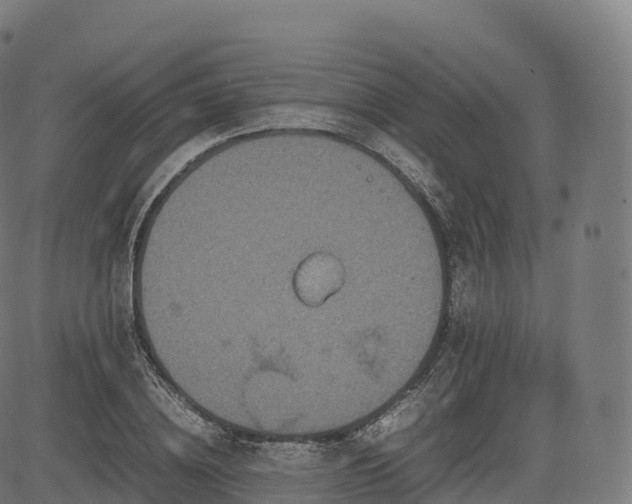 X0000085250836200703091256