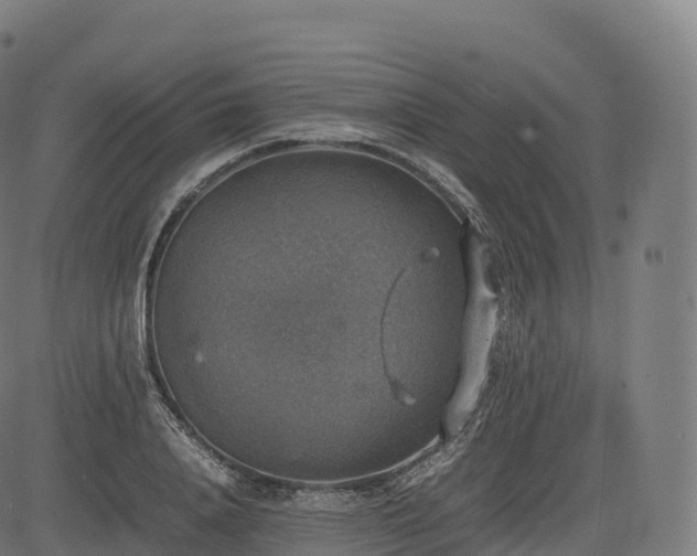 X0000085250840200703091256