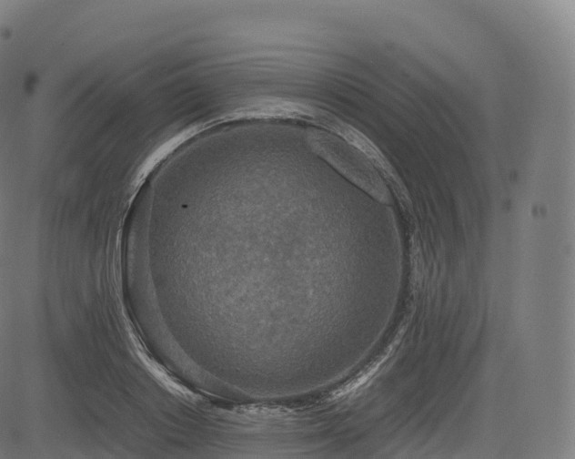 X0000085250842200703091256