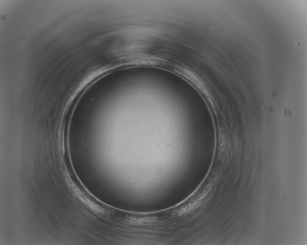 X0000085250843200703091256