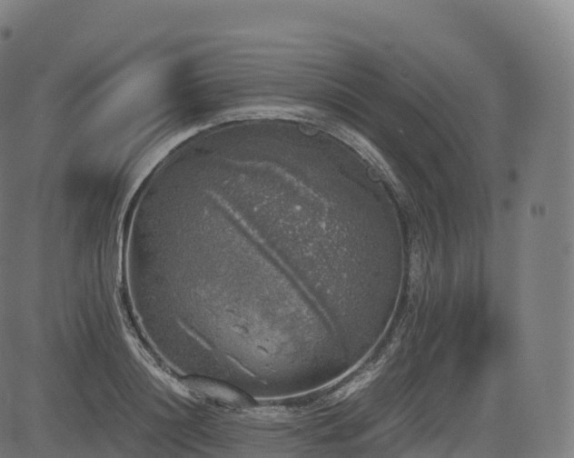 X0000085250844200703091256