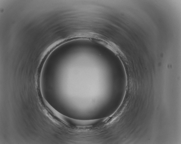 X0000085250846200703091256