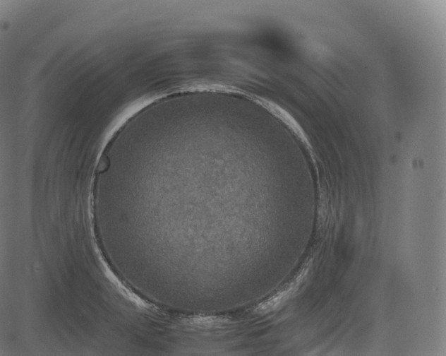 X0000085250847200703091256