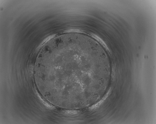 X0000085250849200703091256