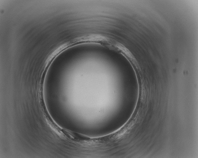 X0000085250850200703091256