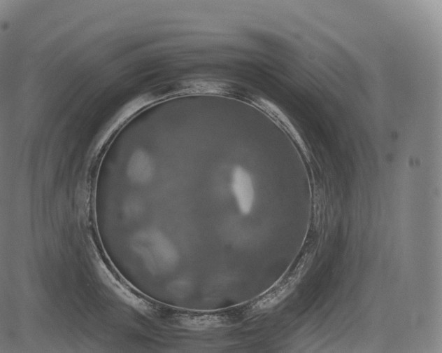 X0000085250851200703091256