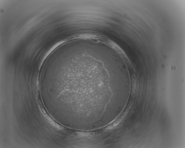 X0000085250852200703091256