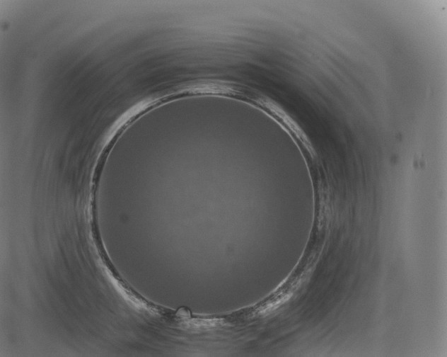 X0000085250853200703091256