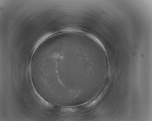 X0000085250855200703091256