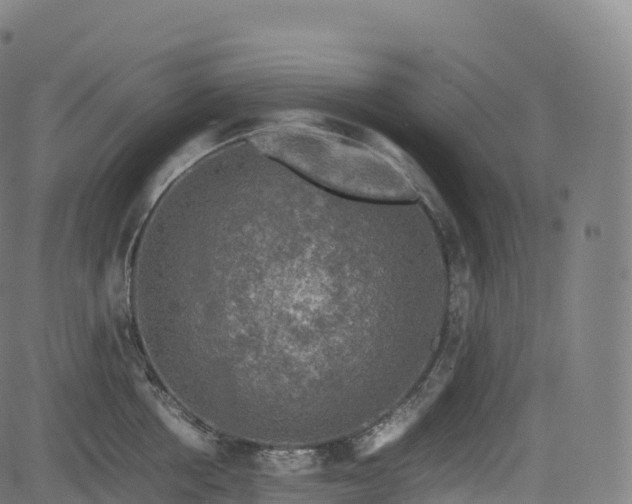 X0000085250858200703091256