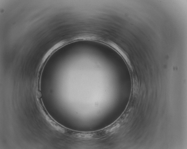 X0000085250861200703091256