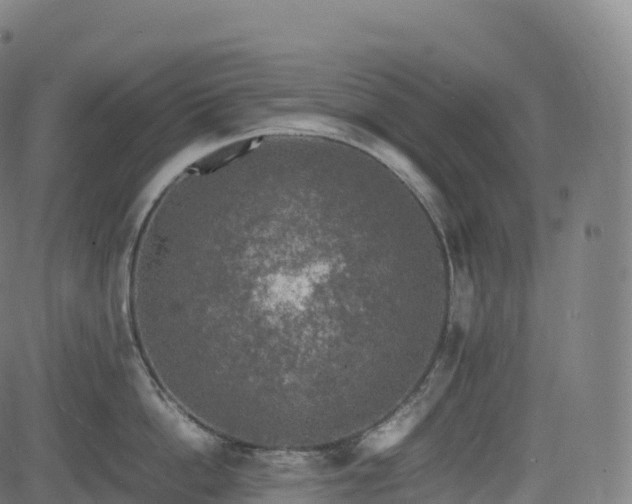 X0000085250862200703091256