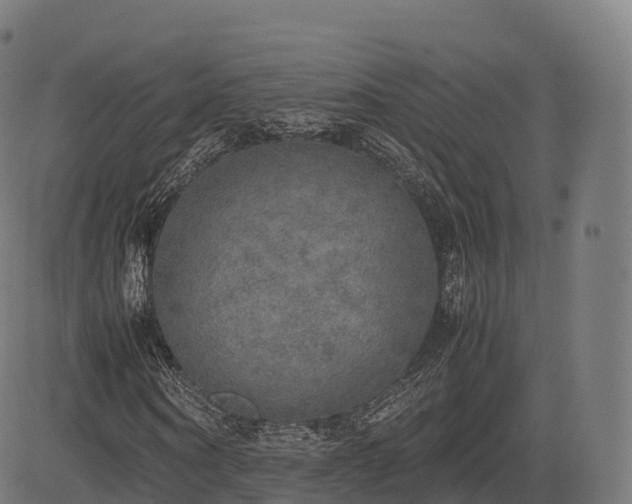 X0000085250866200703091255