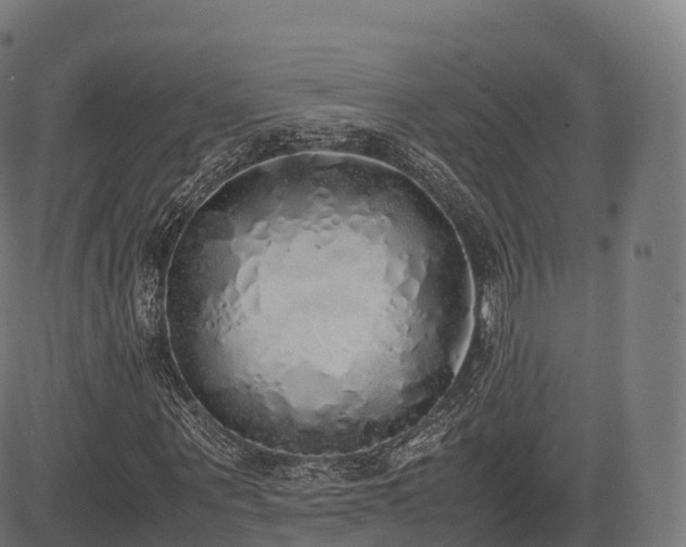 X0000085250867200703091255