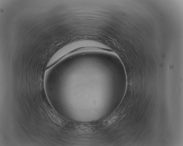 X0000085250868200703091255