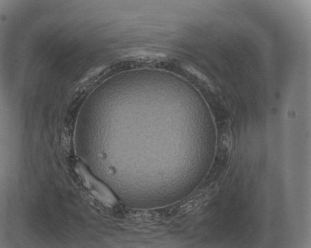 X0000085250869200703091255