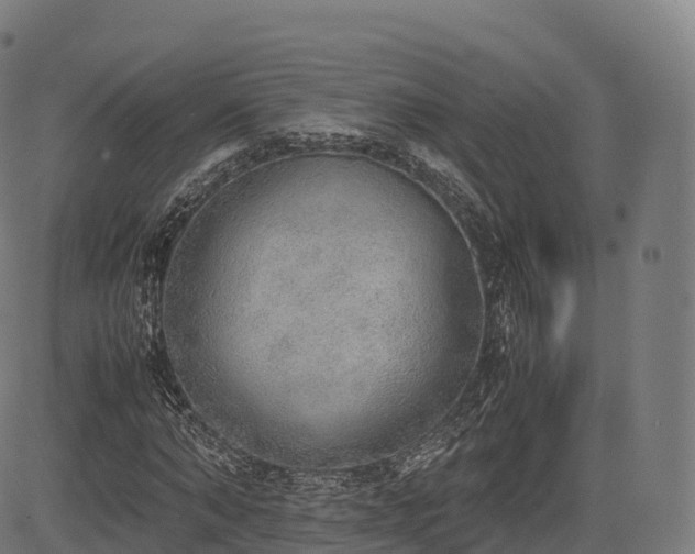 X0000085250870200703091255