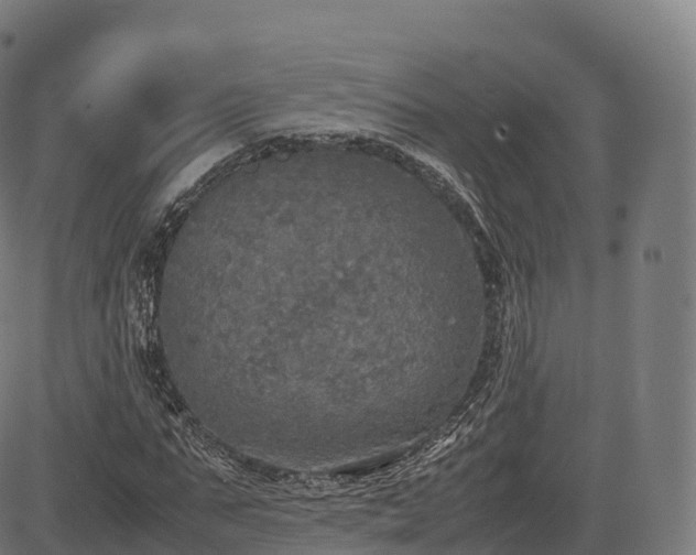 X0000085250871200703091255