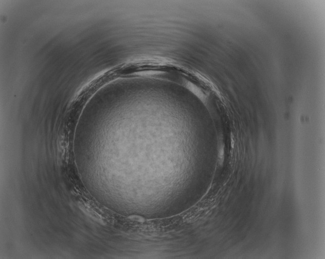 X0000085250872200703091255